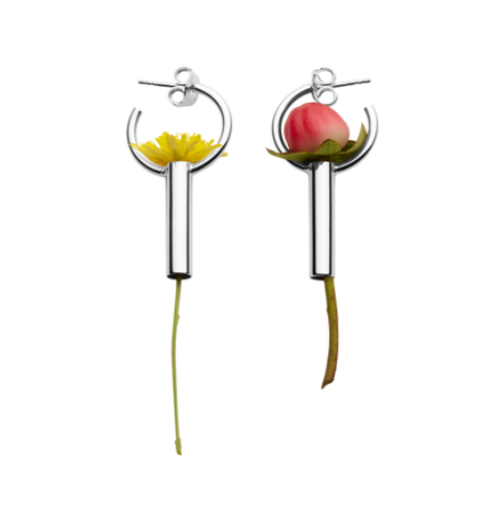 D'heygere Mini Canister Hoops