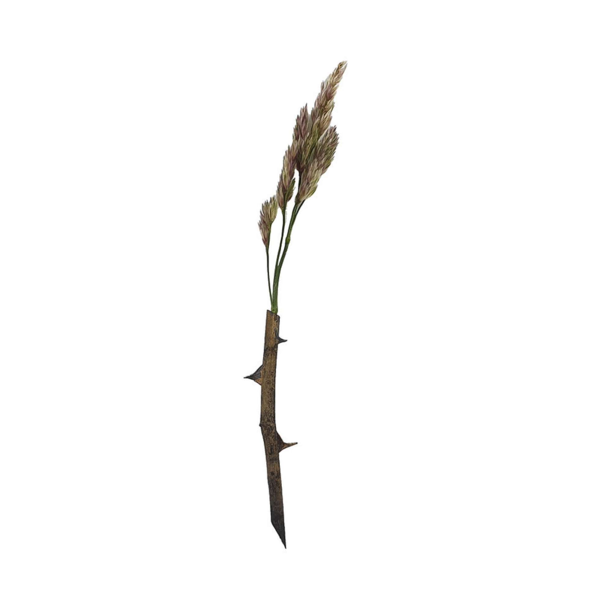 Mass Lee Rosa Brooch Bronze