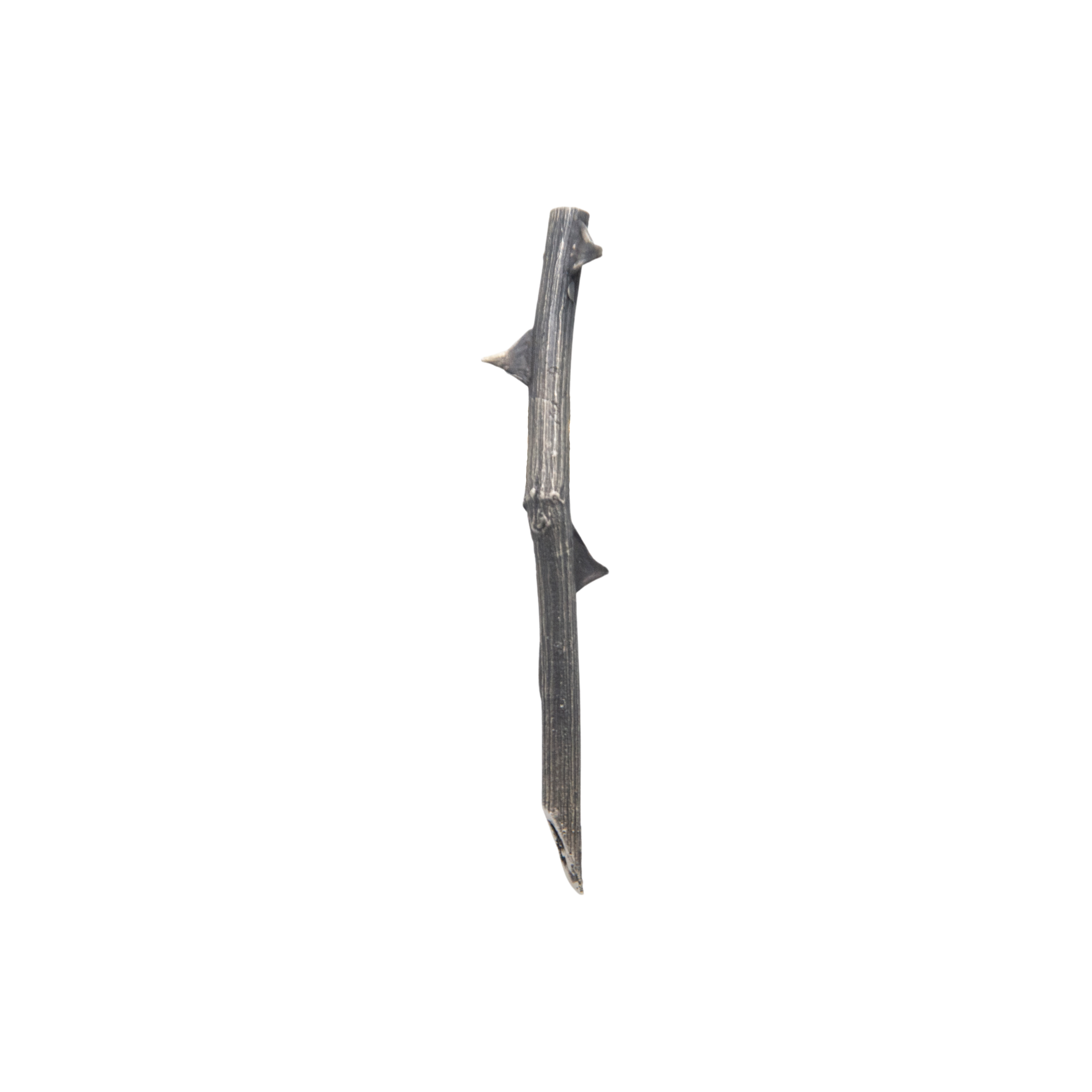 Mass Lee Rosa Brooch Bronze