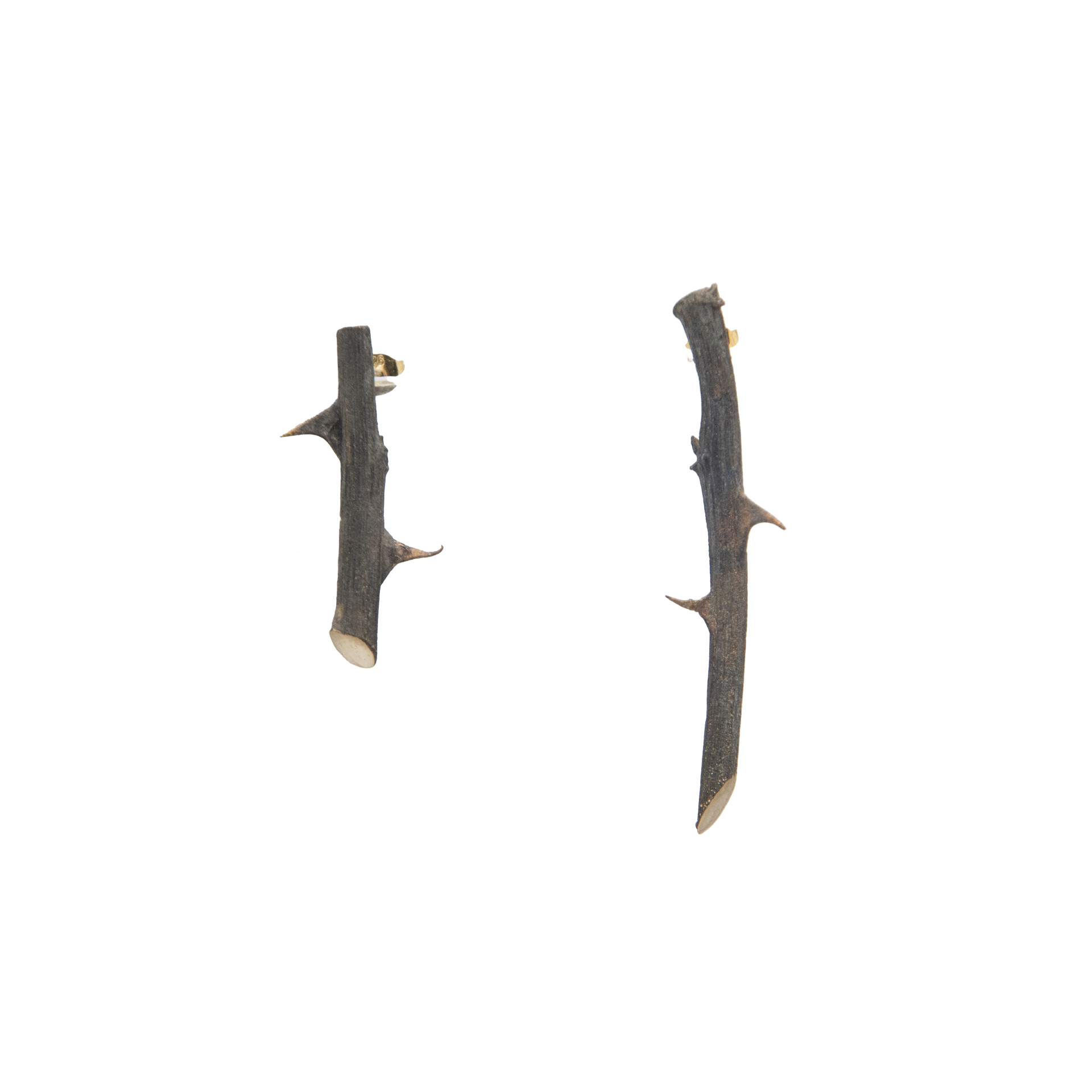 Mass Lee Ramus Earrings Bronze